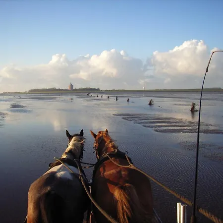 Residenz Thalassa Lejlighed Cuxhaven